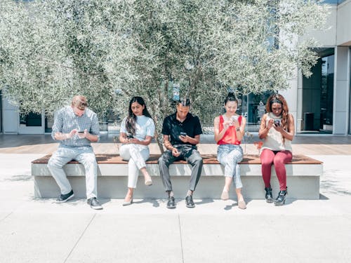 
People Using Their Smartphones while Sitting on a Bench