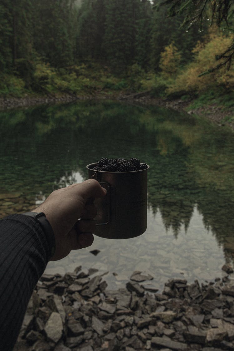 Man Hand Holding Cup Over Pond