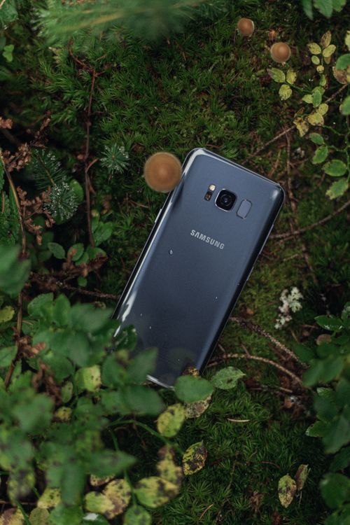 Close up of Cellphone on Tree Bark · Free Stock Photo