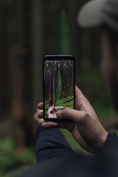 Man using smartphone to photograph a lush green forest scene.