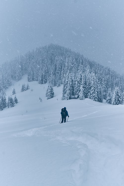 Person Hiking in Snowfall