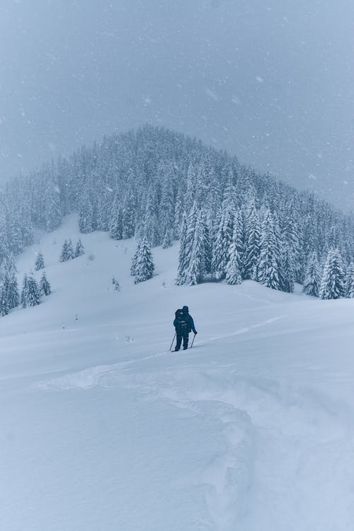 コールド, ハイキング, 冬の無料の写真素材