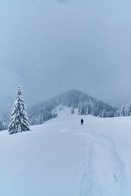 Person Hiking in Snow in Mountains