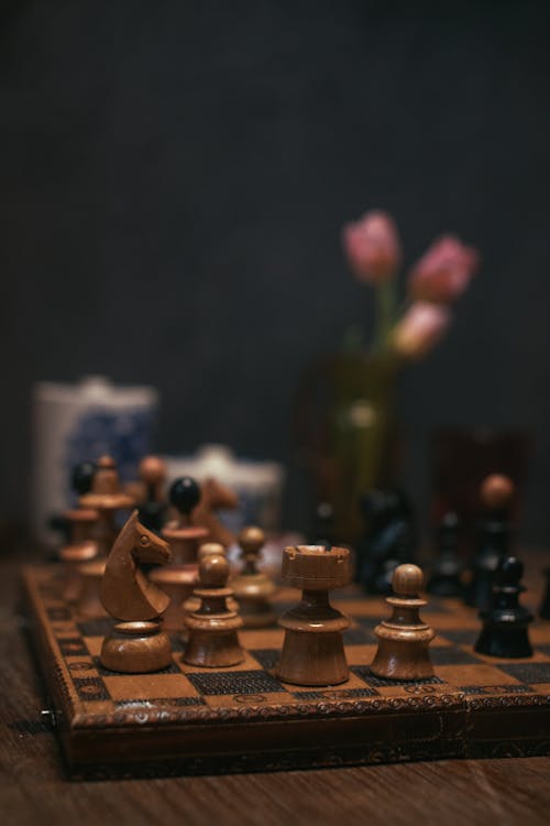 Fotos de stock gratuitas de ajedrez, enfoque selectivo, juego