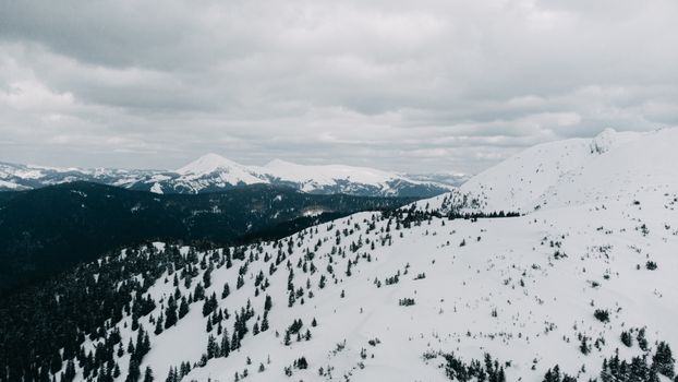 Aerial view of snow-covered mountains and forests in Zakarpattia, Ukraine, under an overcast sky.