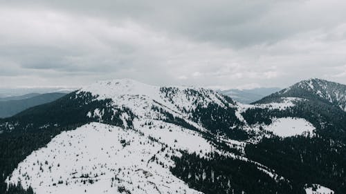 Imagine de stoc gratuită din acoperit de nori, arbori, codru