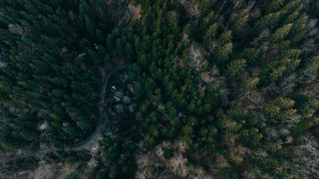 A breathtaking aerial view of a lush green forest in Zakarpattia, Ukraine, showcasing nature's beauty.