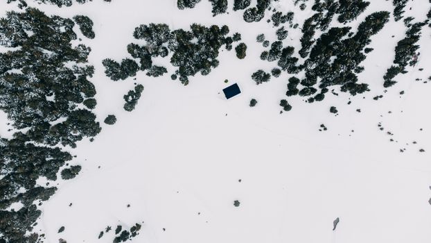Aerial winter scene of a snowy forest from above in Rakhiv, Ukraine. Minimalist and serene natural setting.