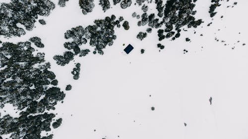 Бесплатное стоковое фото с вид сверху, деревья, зима