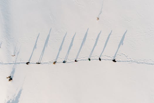 Aerial shot of hikers casting long shadows on snow in Rakhivs'kyi, Ukraine.