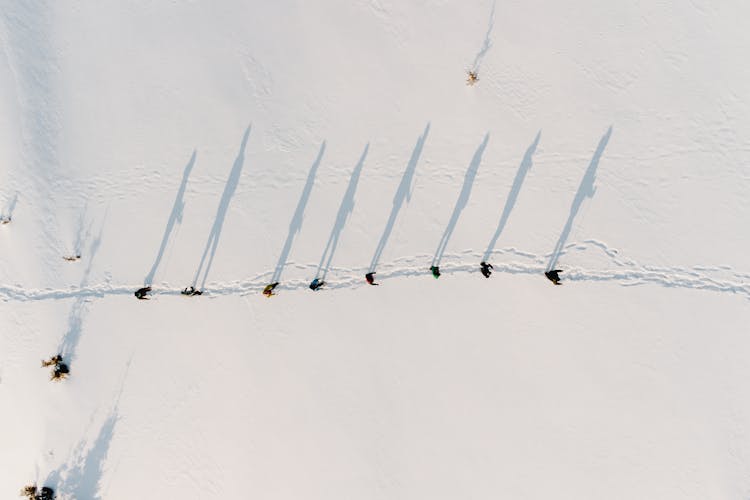 People On Snow With Shadows