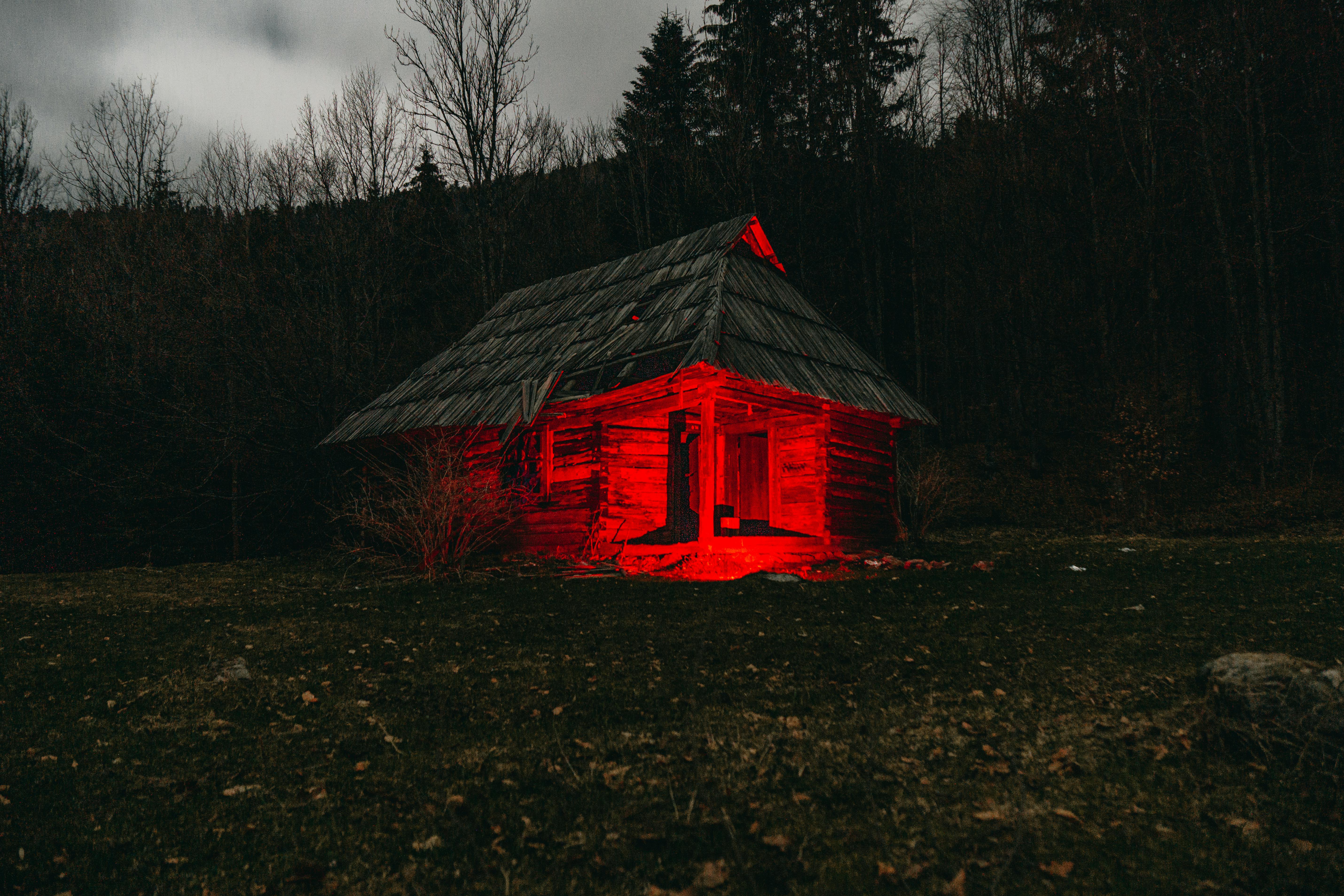 The Energy Vampires Haunting Your Home — Photo by Daniel Eliashevsky on Pexels