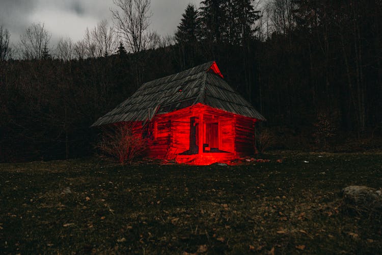 Wooden Hut In Forest