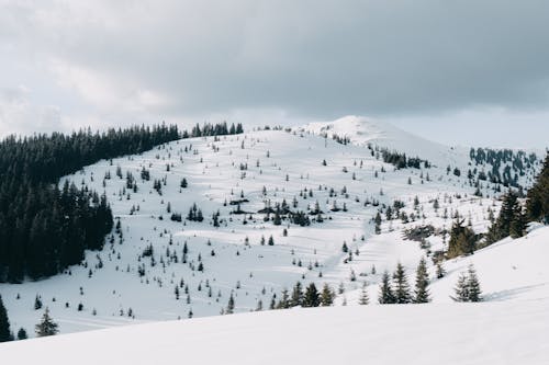 Scenic View of a Snow-Covered Mountain
