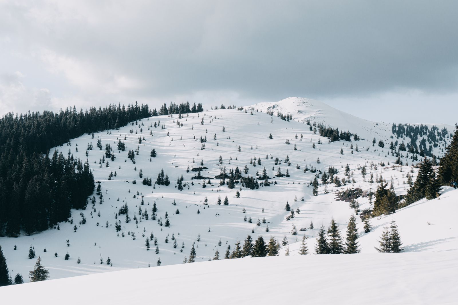 Snow-covered pines below a mountain ridge &mdash; photo by Daniel Eliashevsky on Pexels