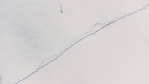Free Aerial View of a Snow-Covered Field Stock Photo