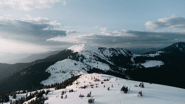 Aerial view of snow-covered peaks in the Carpathian Mountains, Ukraine.