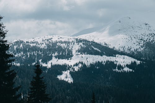 Snow Covered Mountain with Trees Under the White Clouds