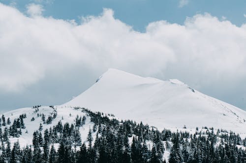 Scenic View of a Snow-Covered Mountain