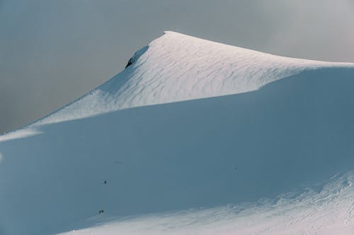 Immagine gratuita di ambiente, coperto di neve, esterno