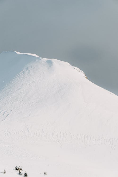 Fotobanka s bezplatnými fotkami na tému chladný, exteriéry, hora