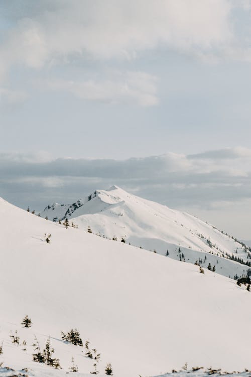 Fotobanka s bezplatnými fotkami na tému chladný, exteriéry, hora