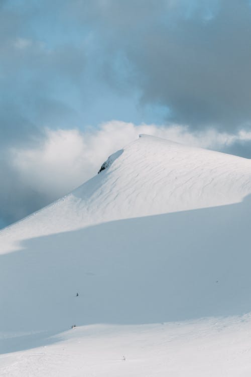 Immagine gratuita di ambiente, coperto di neve, esterno