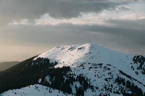 冬, 山, 木の無料の写真素材