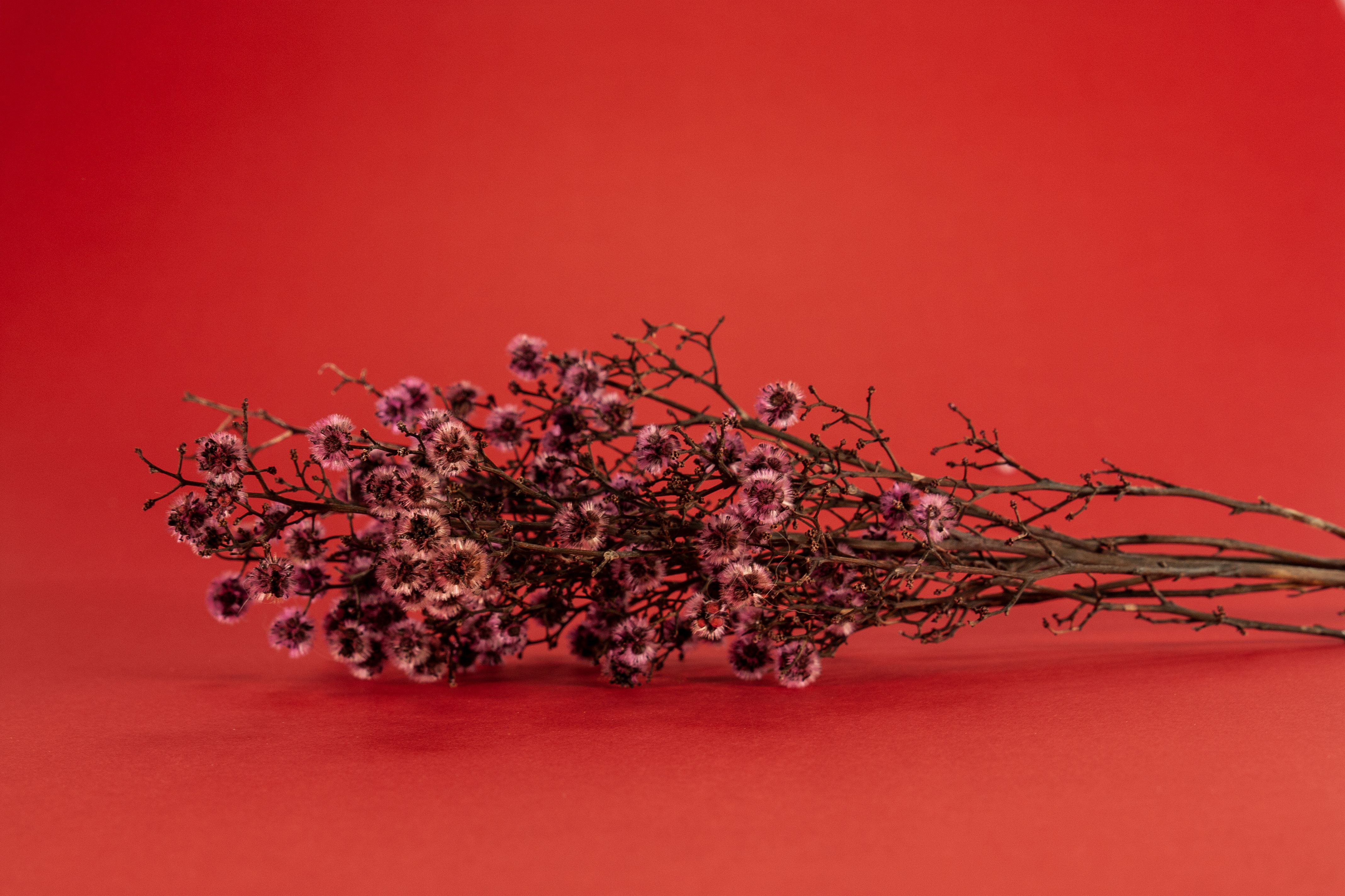 Dried Rose Bunch