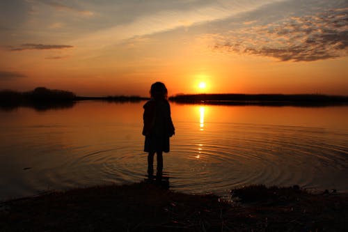 Silhouette of a Kid Standing on the Beach during Sunset