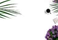 这间极简主义公寓以白色为背景，点缀着咖啡色、紫色郁金香、棕榈叶和棉花糖