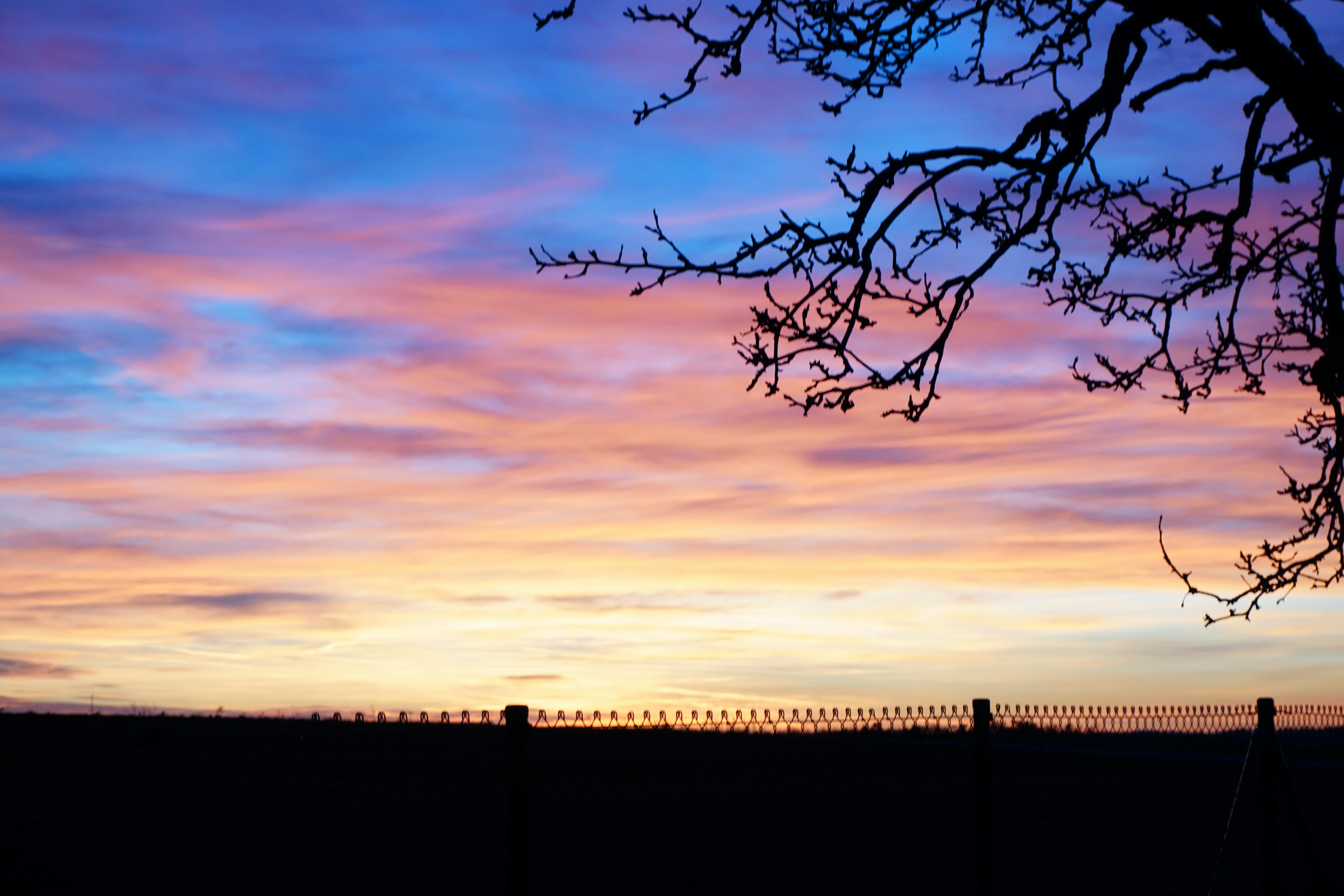 노트북 앞에서 소셜 미디어 성장 전략을 고민하는 사람