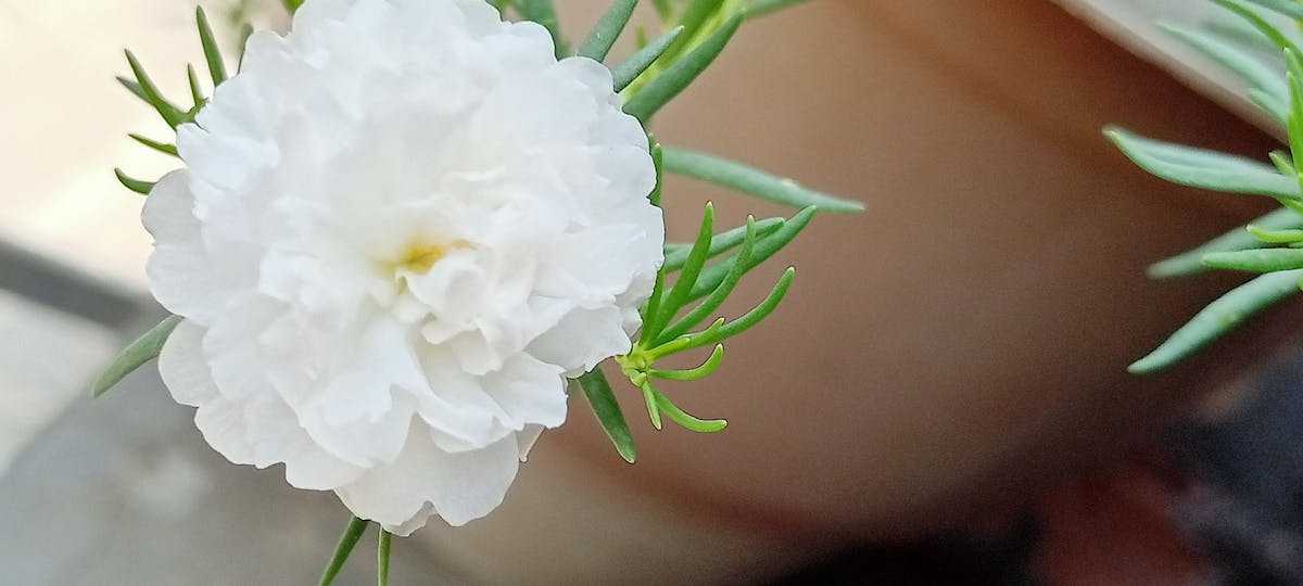 Jar with small savings and notes