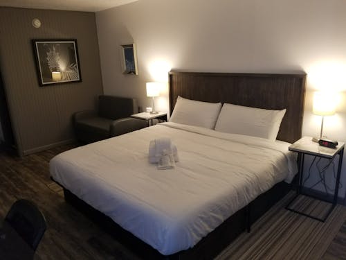 Бесплатное стоковое фото с двуспальная кровать, кровать и завтрак, номер отеля