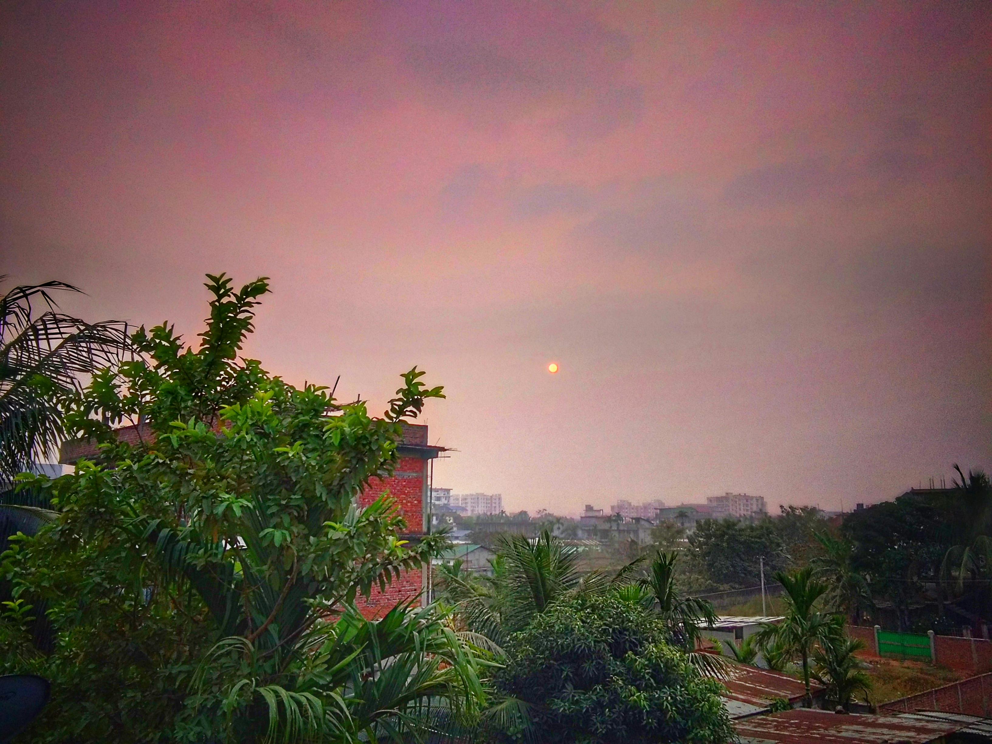 Ketojenik Diyet Rehberi: Kilo Verme ve Sağlık İçin Bilmeniz Gereken Her Şey