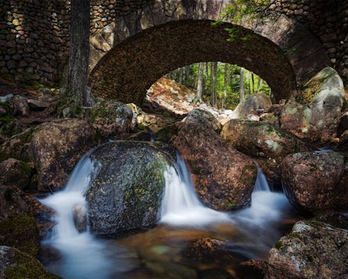 Kostenloses Stock Foto zu bach, bäume, bemoosten felsen