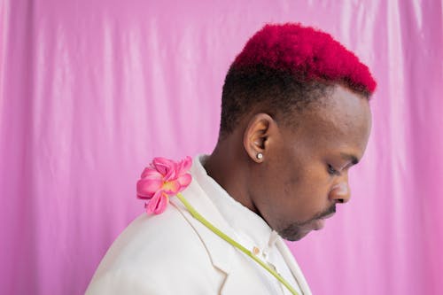 남자, 분홍색 꽃, 분홍색 배경의 무료 스톡 사진
