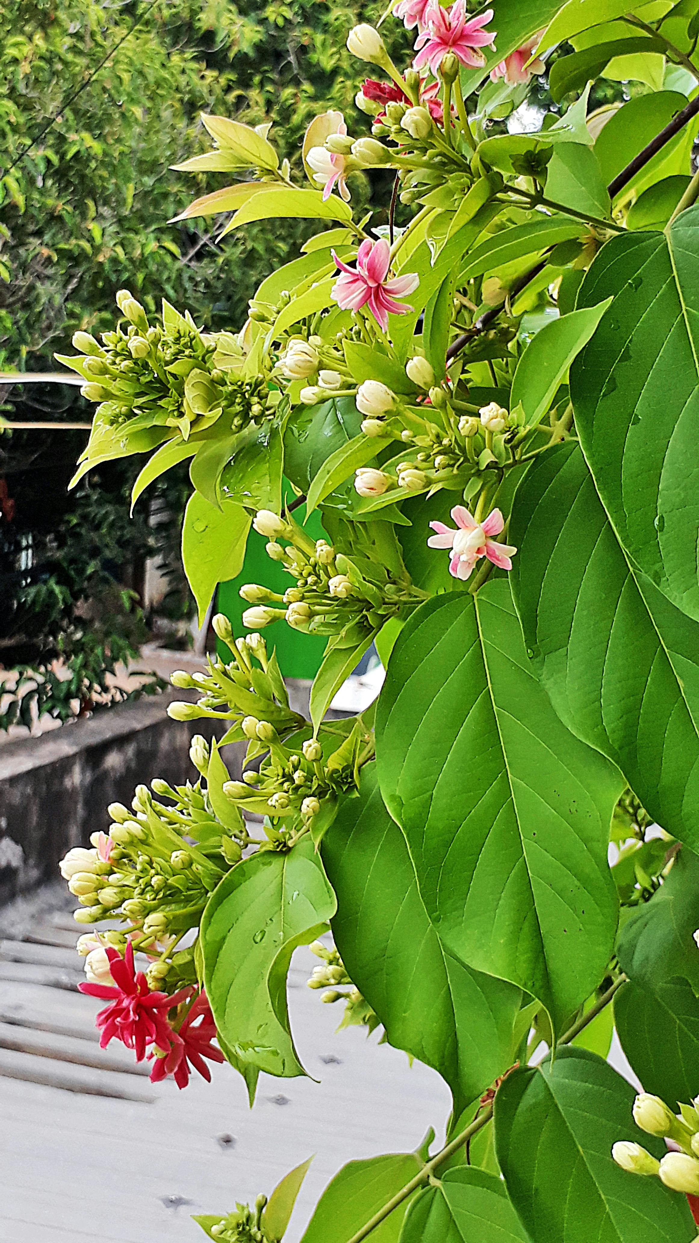 Mutfak Robotu Seçimi: İhtiyaçlarınıza En Uygun Modeli Nasıl Bulursunuz? (2024 Rehberi)