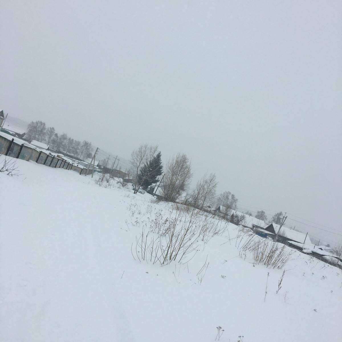 Educator recording a short educational video on a smartphone in a library setting