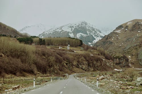 Foto profissional grátis de árvores, cenário, com frio