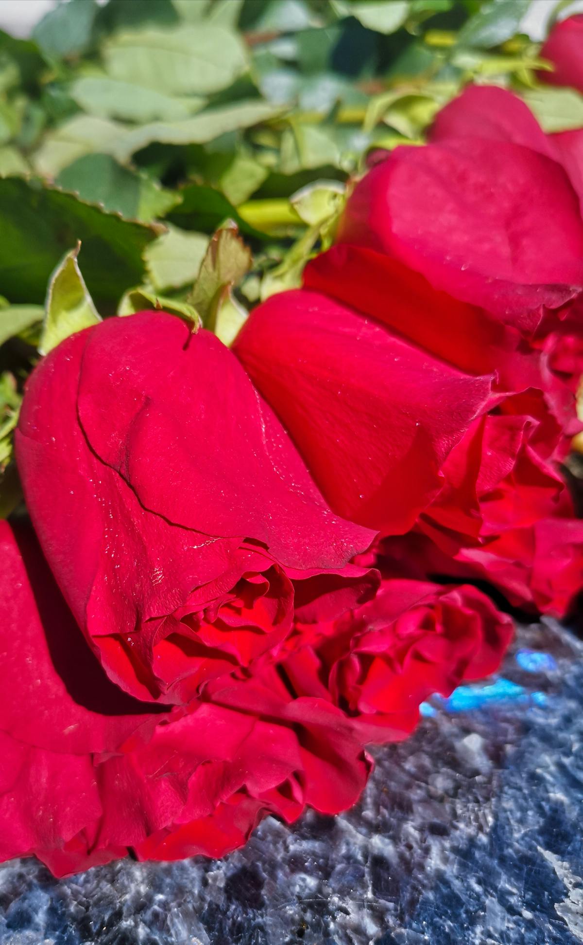 Dutch oven on a stovetop surrounded by chopped vegetables