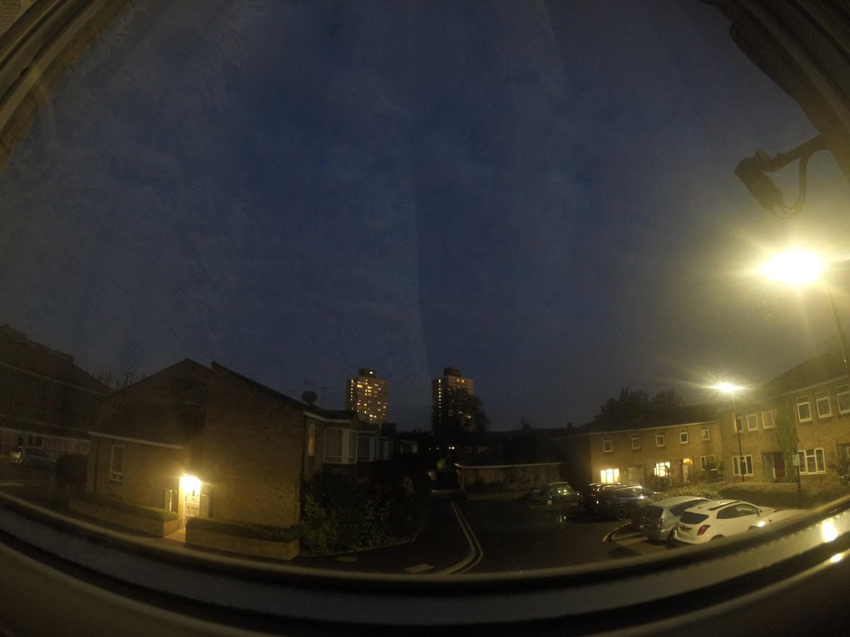 Cockroach pest control treatment