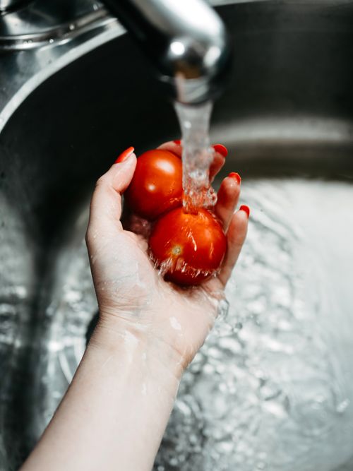 Free Hand rinsing ripe tomatoes under faucet in kitchen sink. Stock Photo