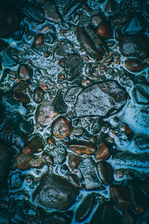 Free A detailed view of wet pebbles and stones with a rich texture and glistening water reflections. Stock Photo