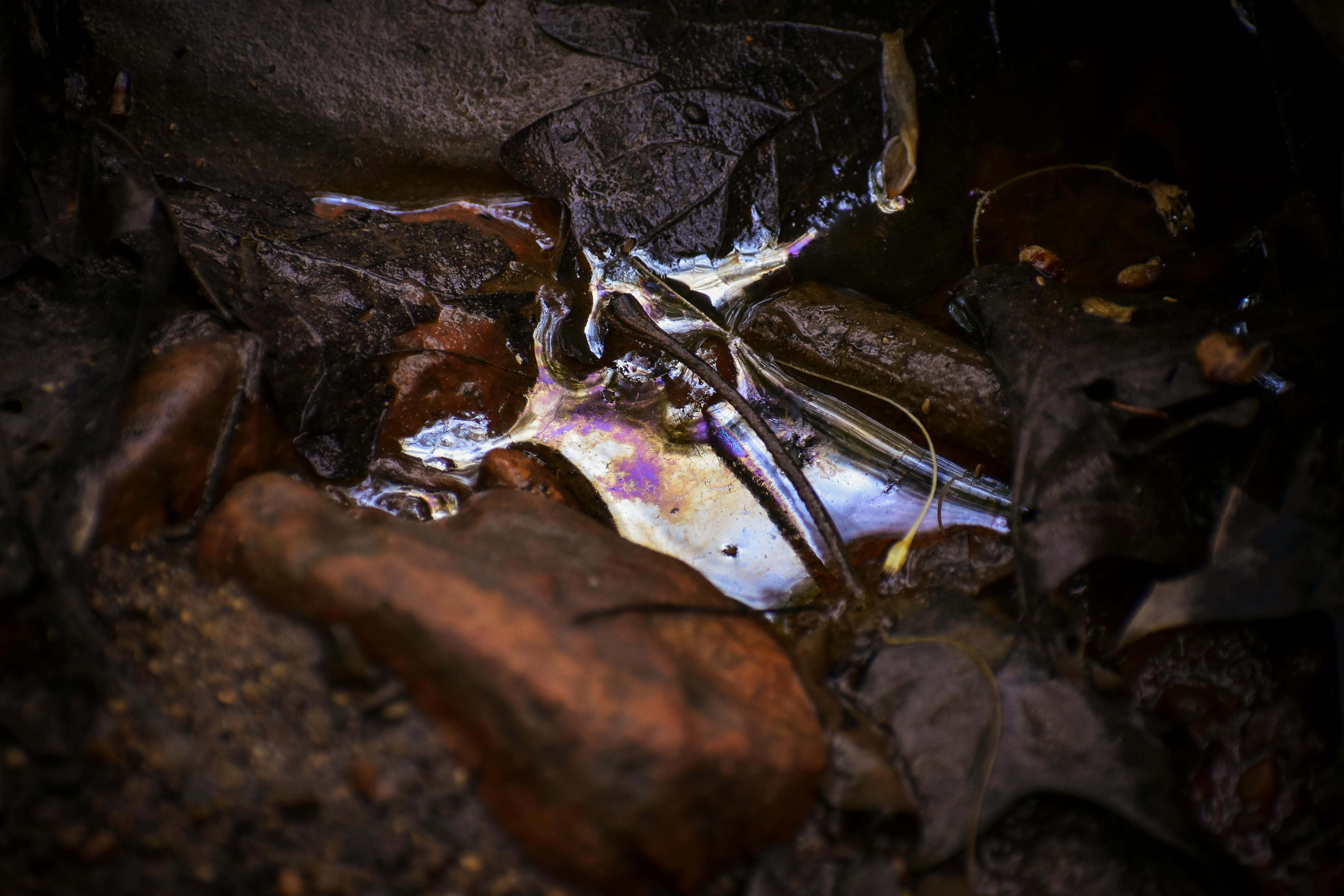 Close-up of an oil spill creating vibrant patterns on wet autumn leaves on the ground.