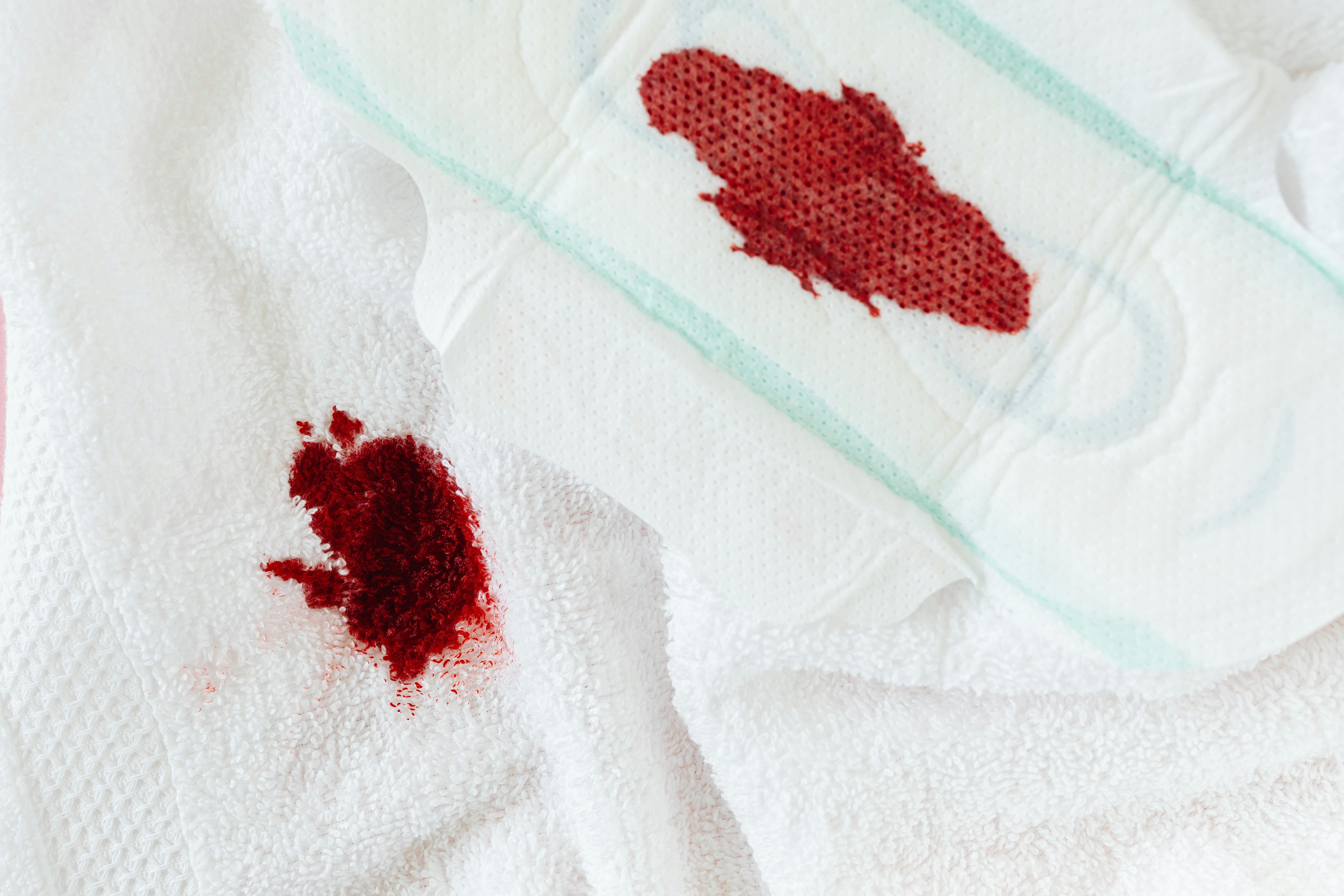 Blood on Sanitary Pad · Free Stock Photo