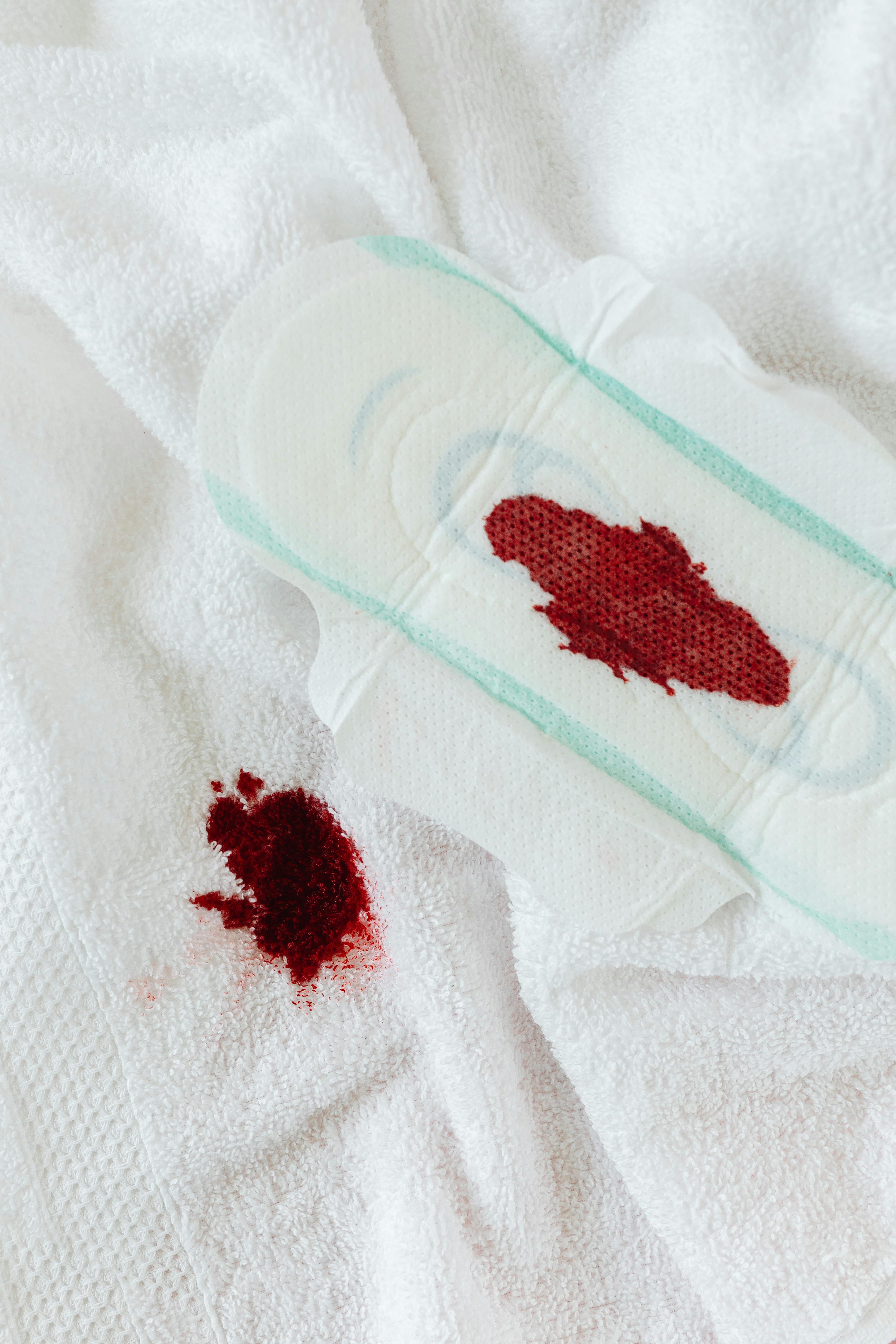A Menstrual Stain on a Pad and Towel · Free Stock Photo