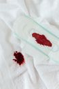 A Menstrual Stain on a Pad and Towel