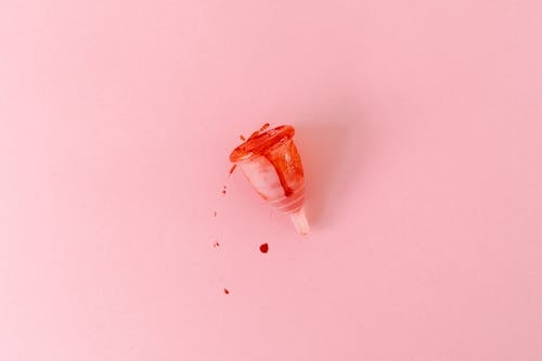 Gratis lagerfoto af blod, menstruation, menstruationsbæger