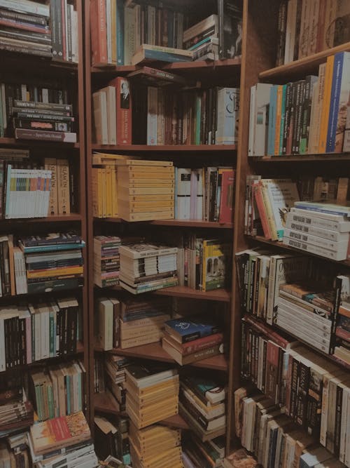 Assorted Books on Brown Wooden Shelves